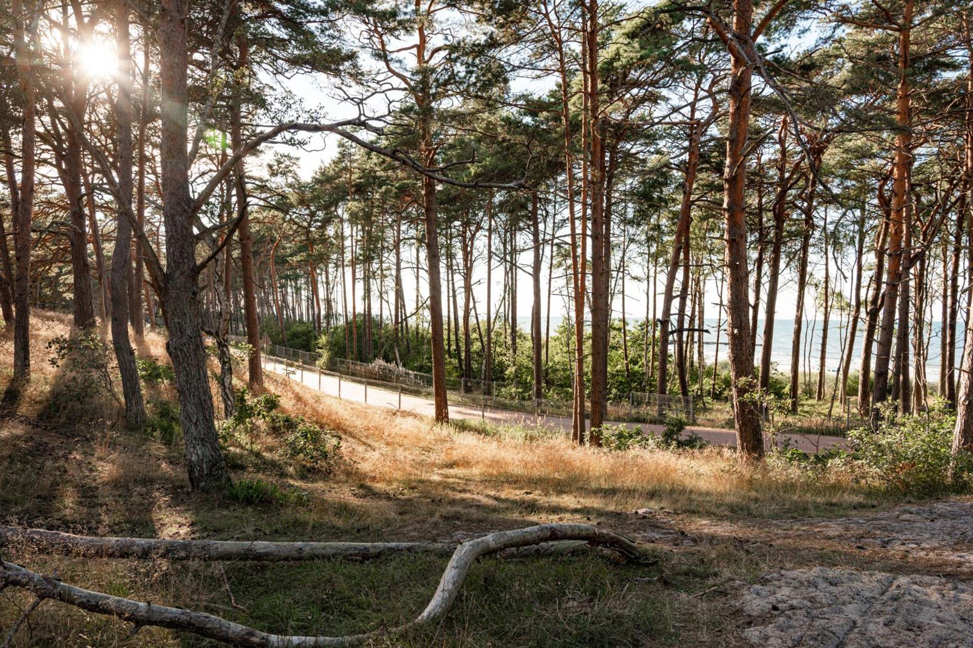 Neptuno Resort & Spa Dźwirzyno Eksteriør billede